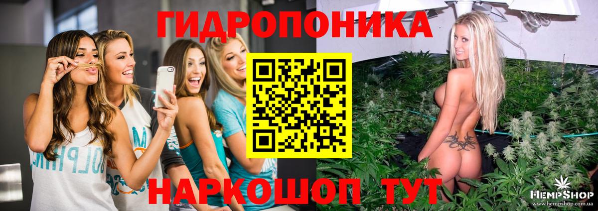 Бошки Шишки LSD WEED Кизилюрт
